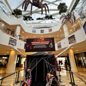 👻 Avez-vous vu passer notre décor d’Halloween ❓
Dragon 🐉, araignées géantes 🕷️, squelettes 💀 et citrouilles maléfi…
